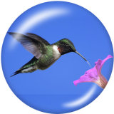 20MM  bird  Print glass snaps buttons