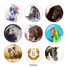 20MM horse   Print glass snaps buttons