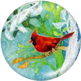 20MM  Hummingbird   Print  glass snaps buttons