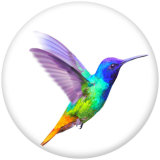 20MM  bird  Print glass snaps buttons