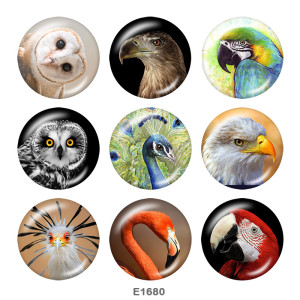 20MM  Owl  Flamingo  Print  glass snaps buttons