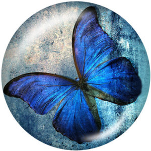 20MM  Butterfly  Print  glass snaps buttons