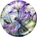 20MM  Love  Butterfly  Print glass snaps buttons