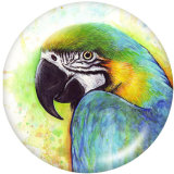 20MM  Owl  Flamingo  Print  glass snaps buttons
