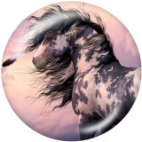 20MM horse   Print glass snaps buttons