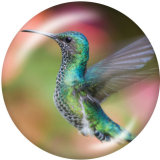 20MM  bird  Print glass snaps buttons