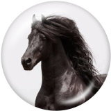 20MM horse   Print glass snaps buttons