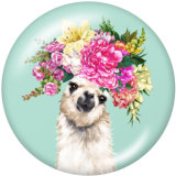 20MM  Dog  Tiger  Print  glass snaps buttons