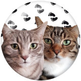 20MM  Cat  Dog  Print  glass snaps buttons
