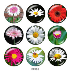 20MM  Flower  Print  glass snaps buttons