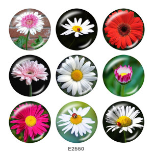 20MM  Flower  Print  glass snaps buttons