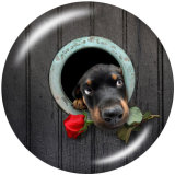 20MM  Dog  Print  glass snaps buttons