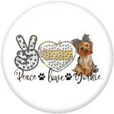 20MM  Peace love  Pugs  Print  glass snaps buttons