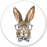 20MM  happy easter  Print  glass snaps buttons