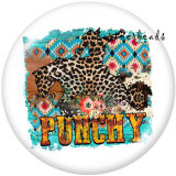20MM  Rodeo  Print   glass  snaps buttons