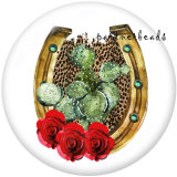 20MM  Rodeo MOM  Print   glass  snaps buttons