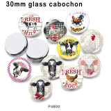10pcs/lot farm  glass picture printing products of various sizes  Fridge magnet cabochon