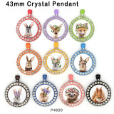 10pcs/lot animal glass picture printing products of various sizes  Fridge magnet cabochon