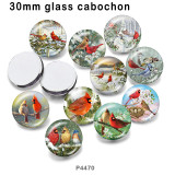 10pcs/lot bird glass picture printing products of various sizes  Fridge magnet cabochon
