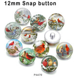 10pcs/lot bird glass picture printing products of various sizes  Fridge magnet cabochon