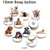 10pcs/lot dog glass picture printing products of various sizes  Fridge magnet cabochon
