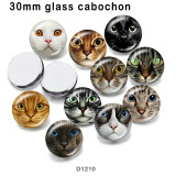 10pcs/lot cat glass picture printing products of various sizes  Fridge magnet cabochon