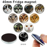 10pcs/lot cat glass picture printing products of various sizes  Fridge magnet cabochon