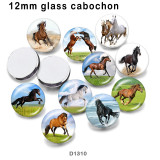 10pcs/lot horse glass picture printing products of various sizes  Fridge magnet cabochon