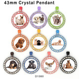 10pcs/lot dog glass picture printing products of various sizes  Fridge magnet cabochon