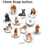 10pcs/lot dog glass picture printing products of various sizes  Fridge magnet cabochon