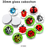 10pcs/lot ladybug glass picture printing products of various sizes  Fridge magnet cabochon