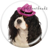 20MM   Dog   Print   glass  snaps buttons