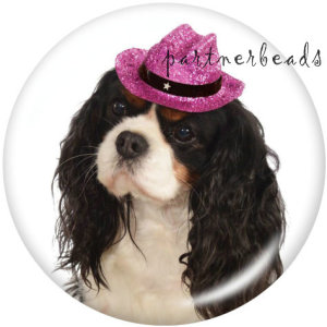 20MM   Dog   Print   glass  snaps buttons