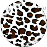 20MM pattern  Leopard  Print   glass  snaps buttons