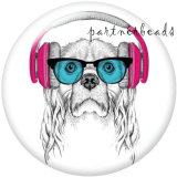 20MM   Dog  Cat  Print   glass  snaps buttons