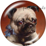 20MM   Dog   Print   glass  snaps buttons