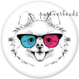 20MM   Dog  Cat  Print   glass  snaps buttons