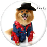 20MM   Dog   Print   glass  snaps buttons
