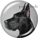20MM   Dog   Print   glass  snaps buttons