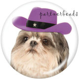 20MM   Dog   Print   glass  snaps buttons