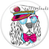 20MM   Dog  Cat  Print   glass  snaps buttons