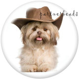 20MM   Dog   Print   glass  snaps buttons