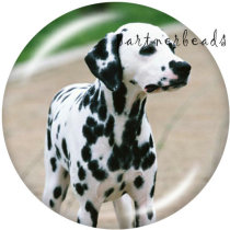20MM   Dog   Print   glass  snaps buttons