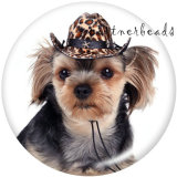20MM   Dog   Print   glass  snaps buttons
