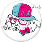 20MM   Dog  Cat  Print   glass  snaps buttons