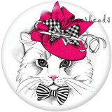 20MM   Dog  Cat  Print   glass  snaps buttons