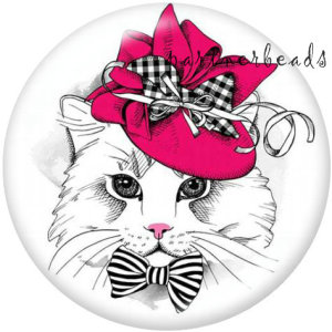 20MM   Dog  Cat  Print   glass  snaps buttons