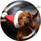 20MM   Dog   Print   glass  snaps buttons