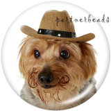 20MM   Dog   Print   glass  snaps buttons