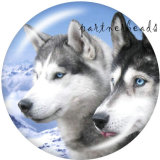 20MM   Dog   Print   glass  snaps buttons